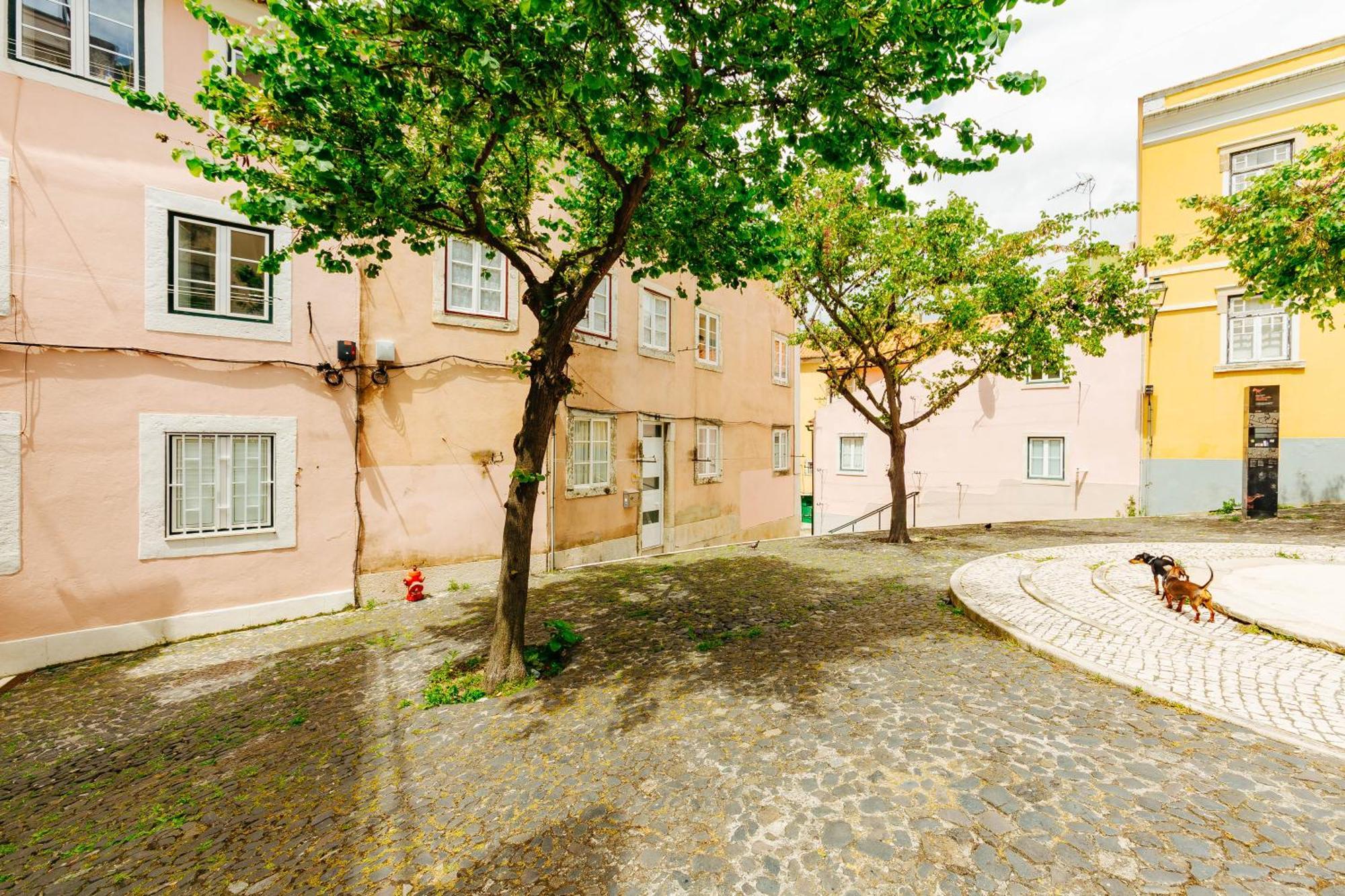 Rent4Rest Lisbon Downtown Tiny Studio Apartments المظهر الخارجي الصورة